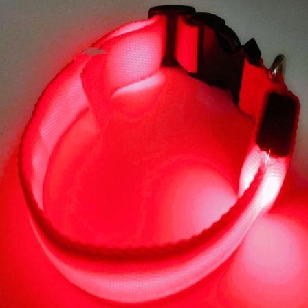 LED-halsbånd til hund, genopladeligt, lysende, justerbart, reflekterende