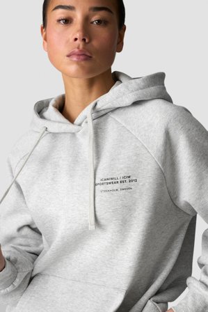 Everyday Hoodie Print Light Grey Melange