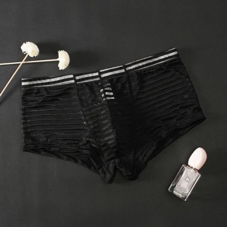 2 STK Sexy Stripe Mesh Transparent Trusse Ultra tynd silke Black XXL