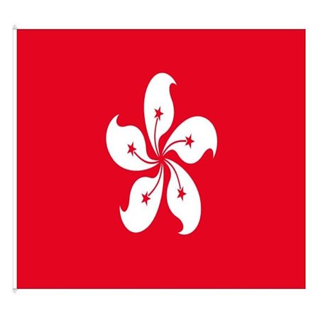 Hongkongs Flag 100