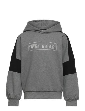 Hmlboxline Hoodie Huppari Harmaa Hummel