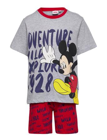 Shorty Patterned Disney