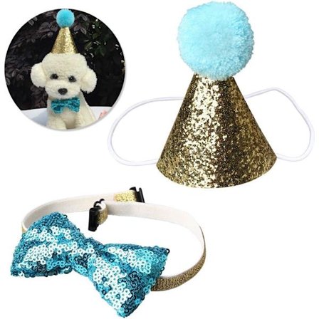 Födelsedagskottehatt för hund