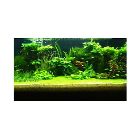 3D-utskrifter Akvarium undervattensbakgrund Bilddekor Fisk Tank Bakgrund Affisch för Akvarium Fisk Tan