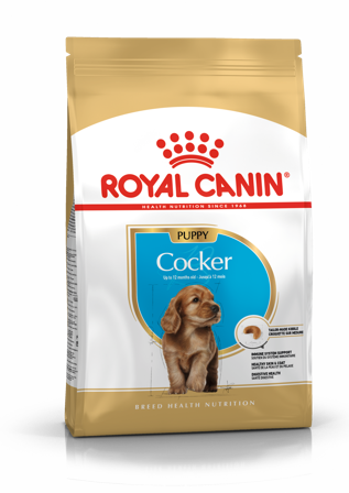 Royal Canin - Cocker Spaniel Puppy tørrfôr for valper 3 kg - Hund - Hundefôr & hundemat - Tørrfôr for hund - ZOO.no