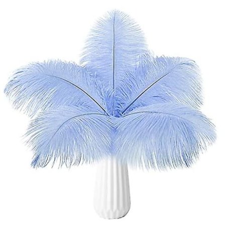 10 st strutsfjädrar naturlig bulk