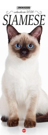 Siamese. Calendario 2026. Long