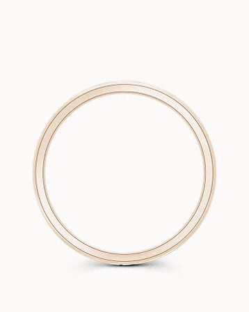 Glatt Ring Dame Naomi 950 Platina 2Mm - Forlovelsesringer & Gifteringer hos Vanbruun