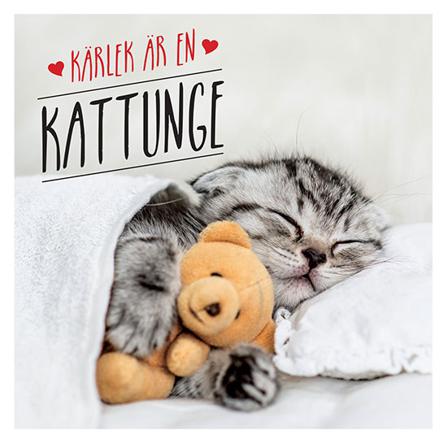 Kärlek är en kattunge - Bok av Charlie Ellis - Inbunden