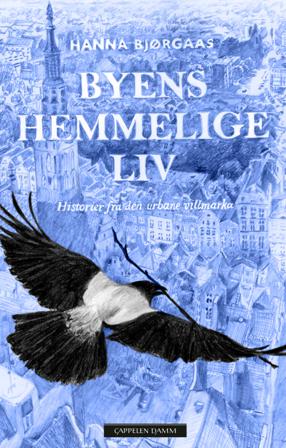Byens hemmelige liv - Bok av Hanna Bjørgaas - Hardback