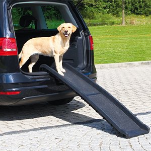 Trixie Petwalk – Hopfällbar hundramp till bil med antiglid material, 40x156cm, upp till 90kg