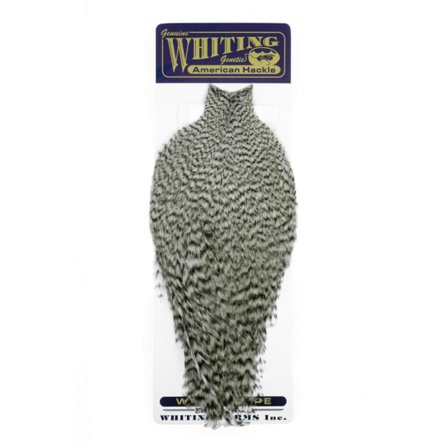 Whiting American Rooster Cape Grizzly