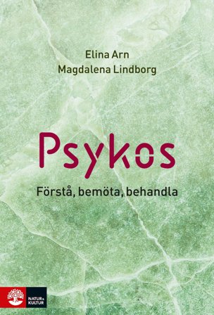 Psykos : Förstå, bemöta, behandla