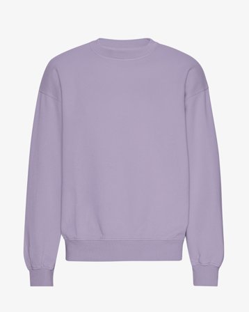 Organic Oversized Crew - Purple Jade 2XL