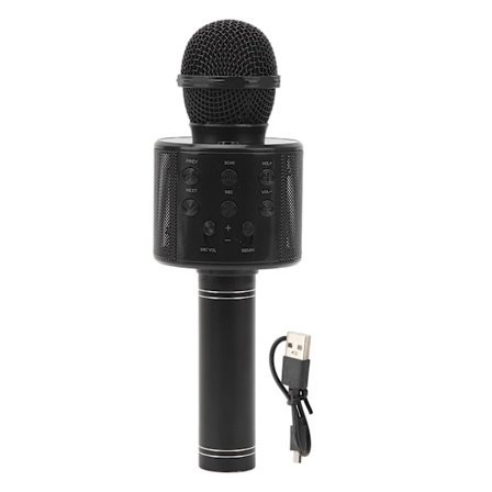 Bärbar trådlös Bluetooth Karaoke Mic: HiFi ljudhögtalare