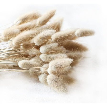 A Beautiful Day Sett med 100 Naturlige Tørre Ovale Laguneblomster - Gras