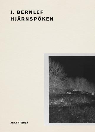 Hjärnspöken - Bok av J. Bernlef - Danskt band