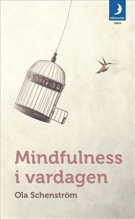 Mindfulness i vardagen : Vägar till medveten närvaro, ISBN: 9789175038803