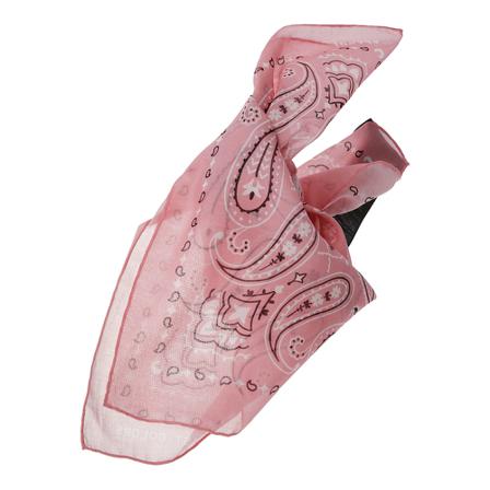 Alanui, Accessories Różowy, Kobieta, Rozmiar: ONE Size