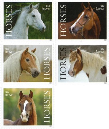USA - Heste - Postfrisk sæt 5v