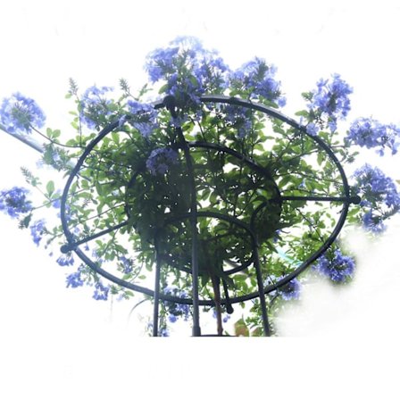 Havegitter til klatreplanter og blomster, Metal Plant Trellis til udendørs brug TAOBY