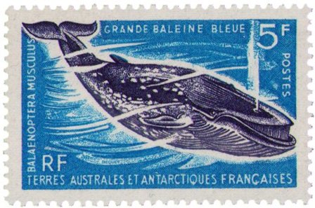 TAAF 1966 - YT 22 - Postfrisk