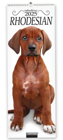 Rhodesian. Calendario 2025. Long