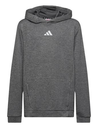 J Hea Hoodie Grey Adidas Performance
