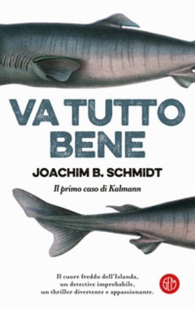 Va tutto bene. Il primo caso di Kalmann Joachim B. Schmidt
