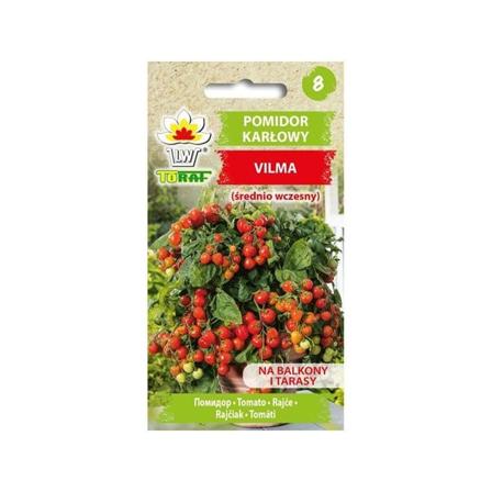 Kirsikkatomaatti Vilma - Kirkkaanpunaiset Pyöreät Tomaatit
