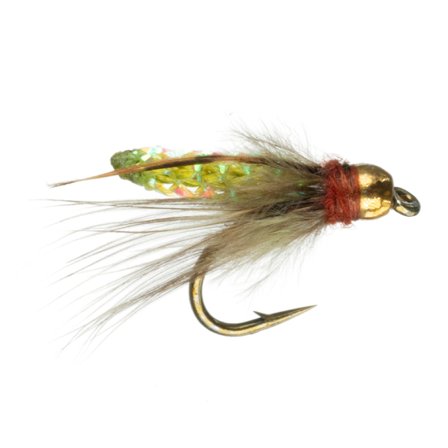 Umpqua Pupa BH Olive - #16