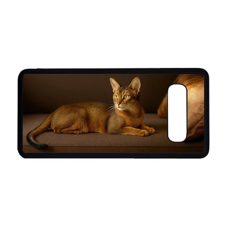 Abessinier Katt Samsung Galaxy S10 Mobiltelefon Skal