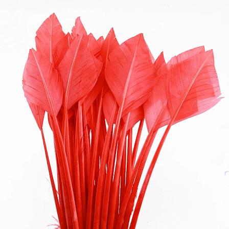 10/50 stk. pilegrimsfjer fra kalkun 25-30 CM/10-12 TOMMER smukke til smykker karneval dekorativ DIY kostume maske hovedbeklædning Watermelon red 10pcs