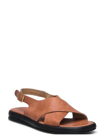 ANGULUS Sandals - Flat - Brown - 38