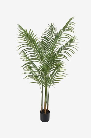 Present Time - Kunstig plante Kwai Tree - Grønn - Kunstige planter - Fra Homeroom