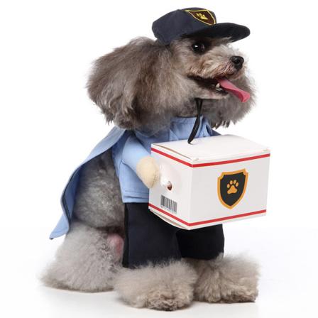 Halloween-kostyme for hund og katt, morsomt Halloween- og julefestantrekk for små hunder og katter, cosplay, postmannkostyme