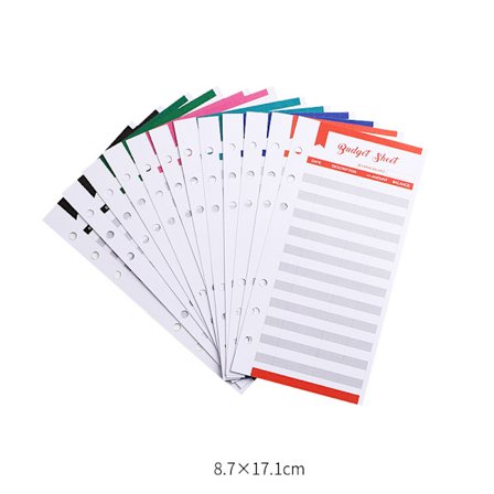 A6-budjettisuunnittelija