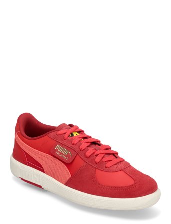 PUMA Motorsport | Ferrari Palermo | 40