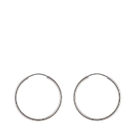 Pilgrim Örhängen, Sanne Silver Plated Smycken & klockor Dam ONESIZE