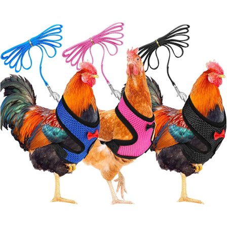 3 kpl pakkaus, koko M kanan valjaat säädettävällä hihnalla ja hengittävät lemmikeille, kanan valjaat ankalle, hanhelle, kanalle[qb]