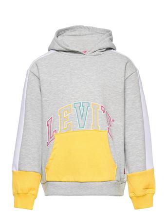 Lvg Color Block Hoodie Hoodie Multi/mönstrad Levi's