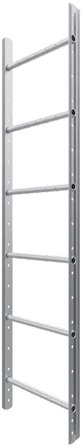 W.steps WWRS Vägg- och takstege krom 1800 mm, Stegar & ställningar