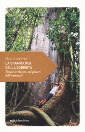 La grammatica della sobrietà. Piccole rivelazioni sui piaceri dell'essenziale David Lefèvre