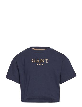 D1. Stars Ss T-Shirt Blue GANT