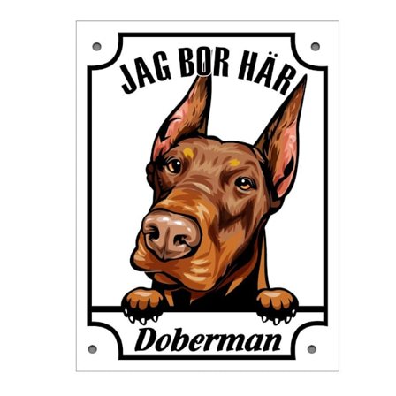 Tinnskilt Dobermann Tittende hund skilt