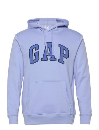 V-Heritage Logo Po Snl Hoodie Blå GAP