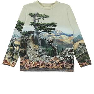 Molo See the Animals Reif GOTS T-Shirt 110 cm - Tops - 110 CM - Beige