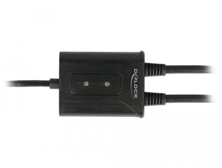 Delock USB 2.0 to 2 x serial RS-232 - seriell adapter - USB 2.0 - RS-232 x 2