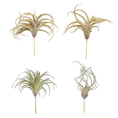 4-pak Kunstig Ananas Græs Luftplanter Kunstige Blomster Faux Flocking Tillandsia Bromeliads Hjem Have Dekoration