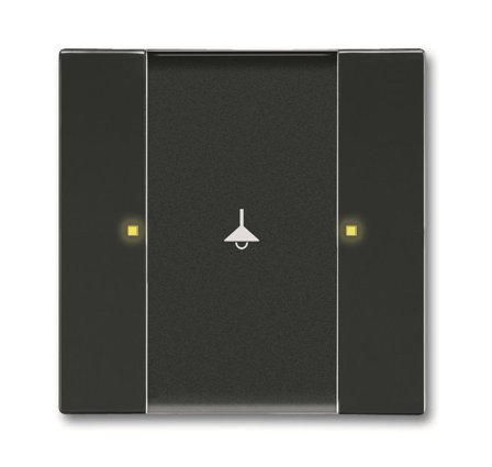 ABB Impressivo 6115-0-0216 Painike 2 ohjauspistettä Antrasiittiharmaa, Kytkimet & pistorasiat